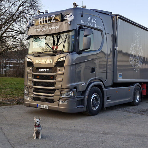 Truckwahl - 