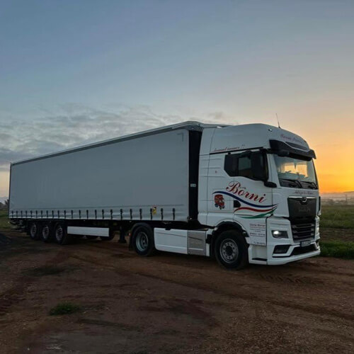 Truckwahl - 