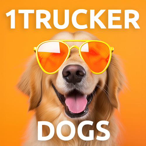 1TRUCKER DOG